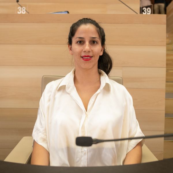 Argañarás