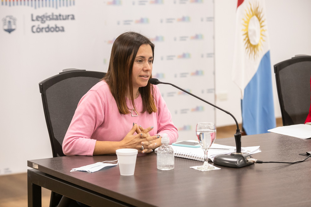 Carolina Basualdo, Comisión de Equidad