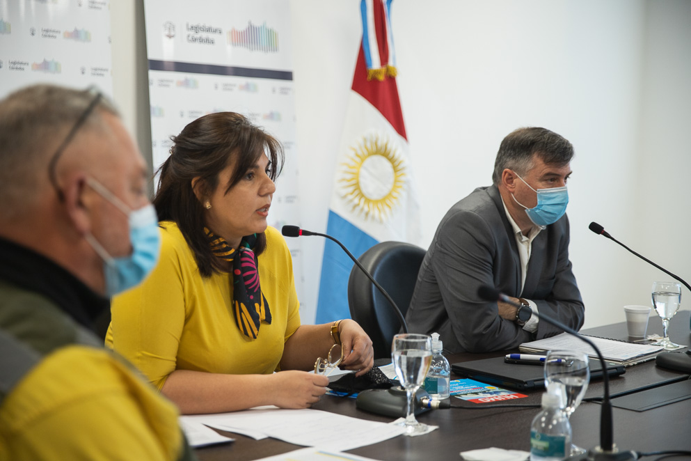 Integrantes del Plan de Manejo del Fuego participaron de la comisión de Ambiente