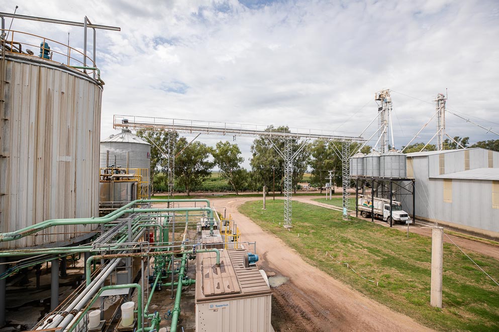 La producción de biocombustibles, clave para el desarrollo regional