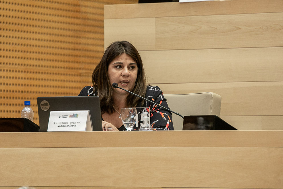 Legisladora Nadia Fernández