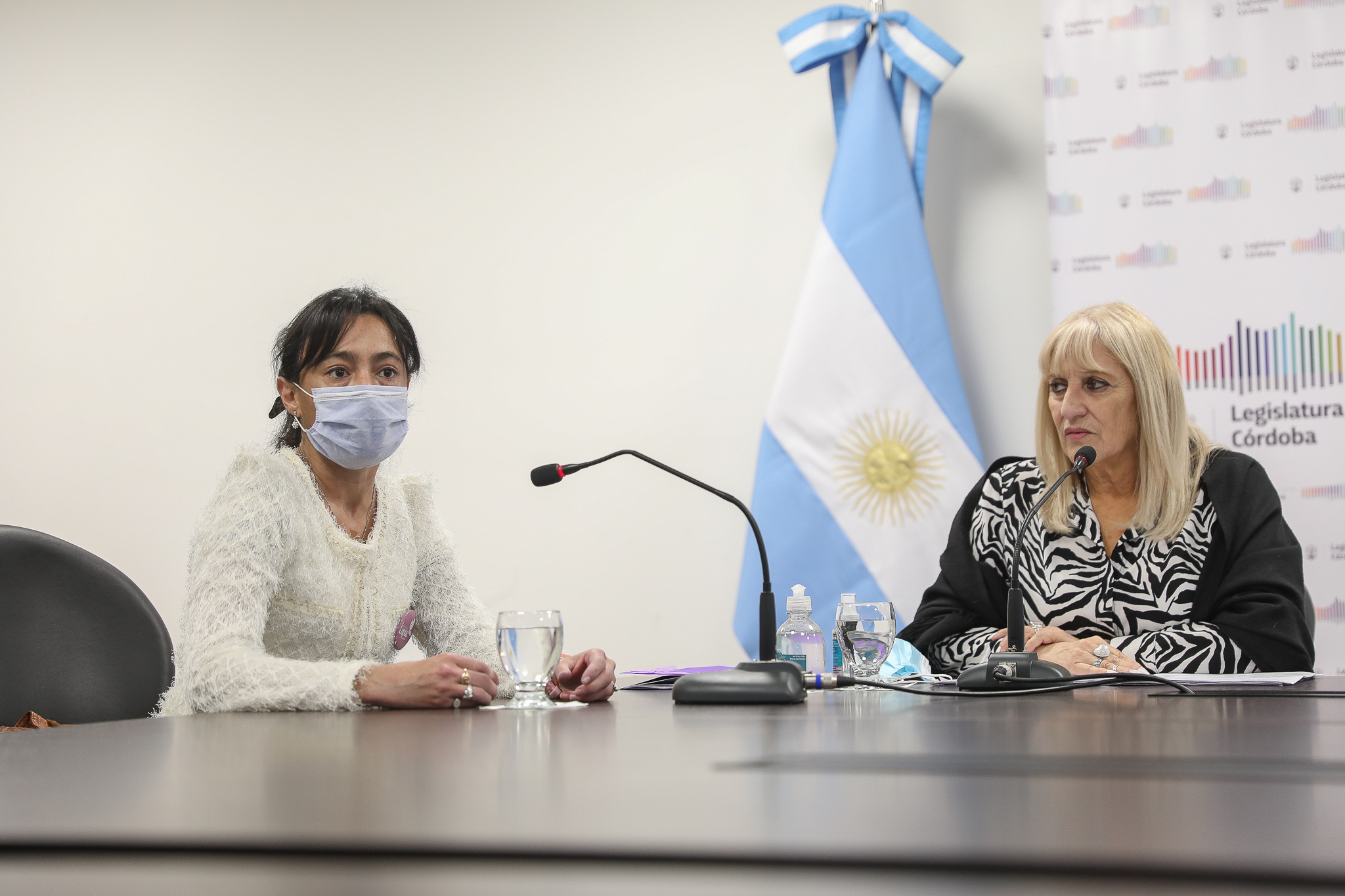 La Comisión de Salud recibió a la Fundación Lupus Córdoba