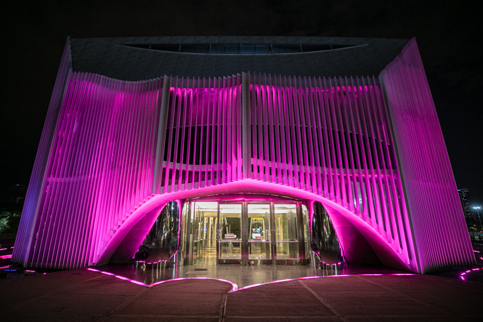 La Legislatura se ilumina de violeta por el Mes de la Mujer