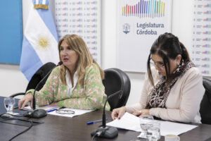 Mañana darán despacho al proyecto para convertir en ley al programa Lideresas