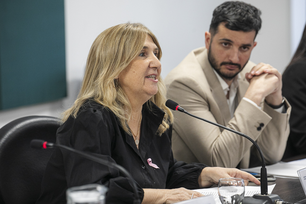Presentaron en comisiones la campaña Córdoba Rosa 2023