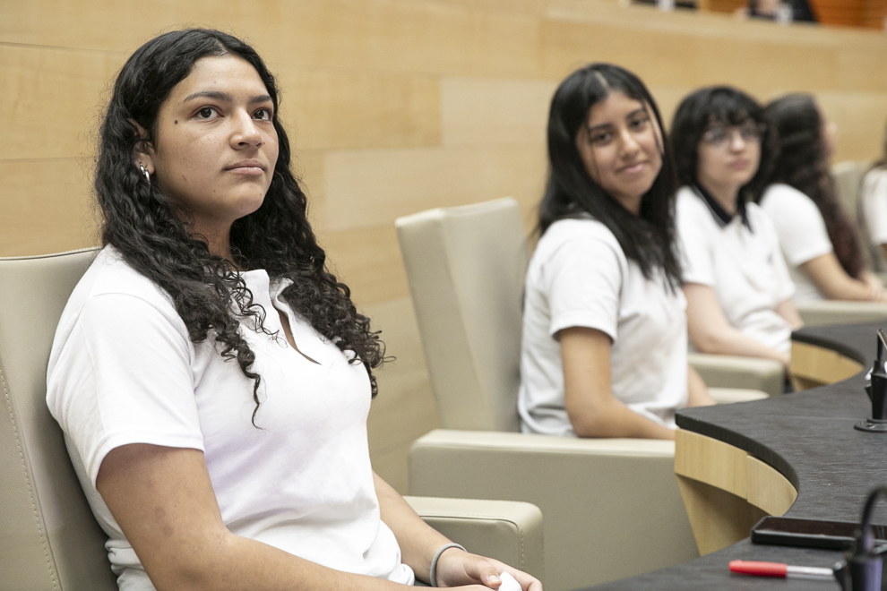 Estudiantes de Córdoba y de Armenia en una nueva simulación parlamentaria