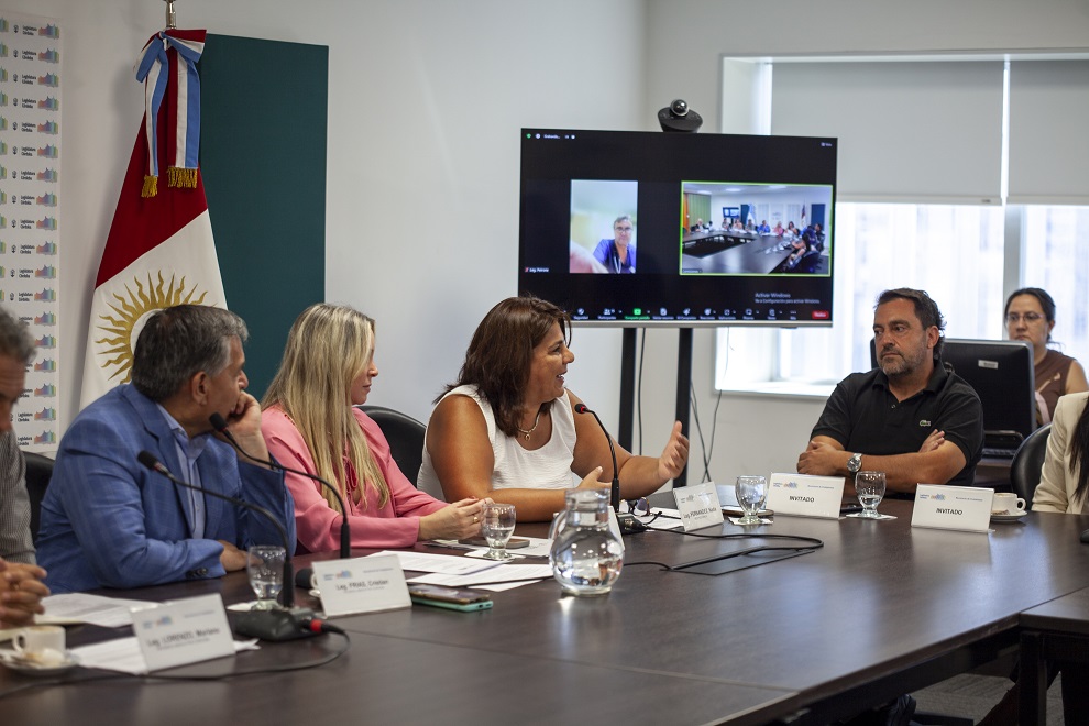 Comisión de Salud_49 (1)