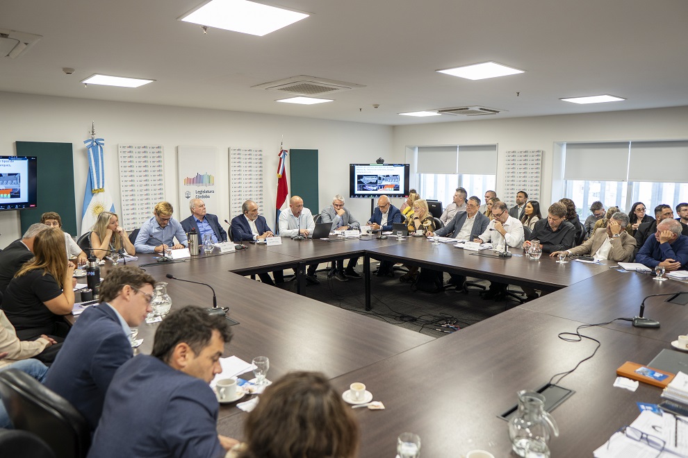 Reunión conjunta de Economía y de Asuntos constitucionales_171