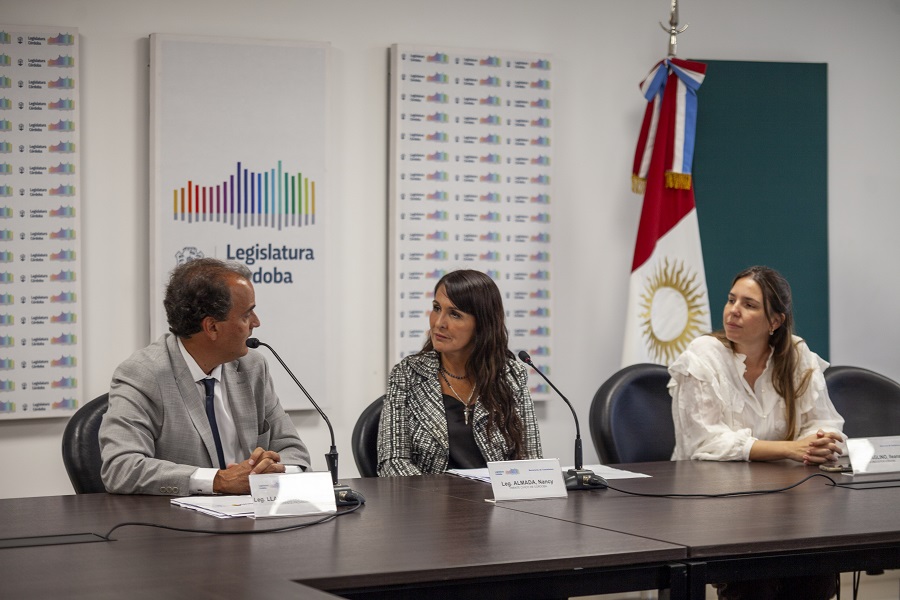 Comisiòn de seguridad_31