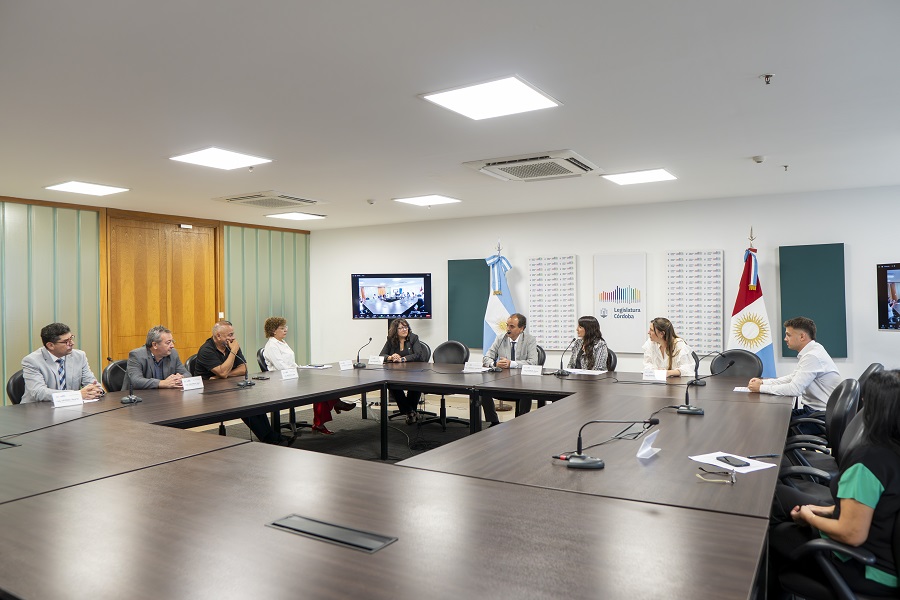 Comisiòn de seguridad_4