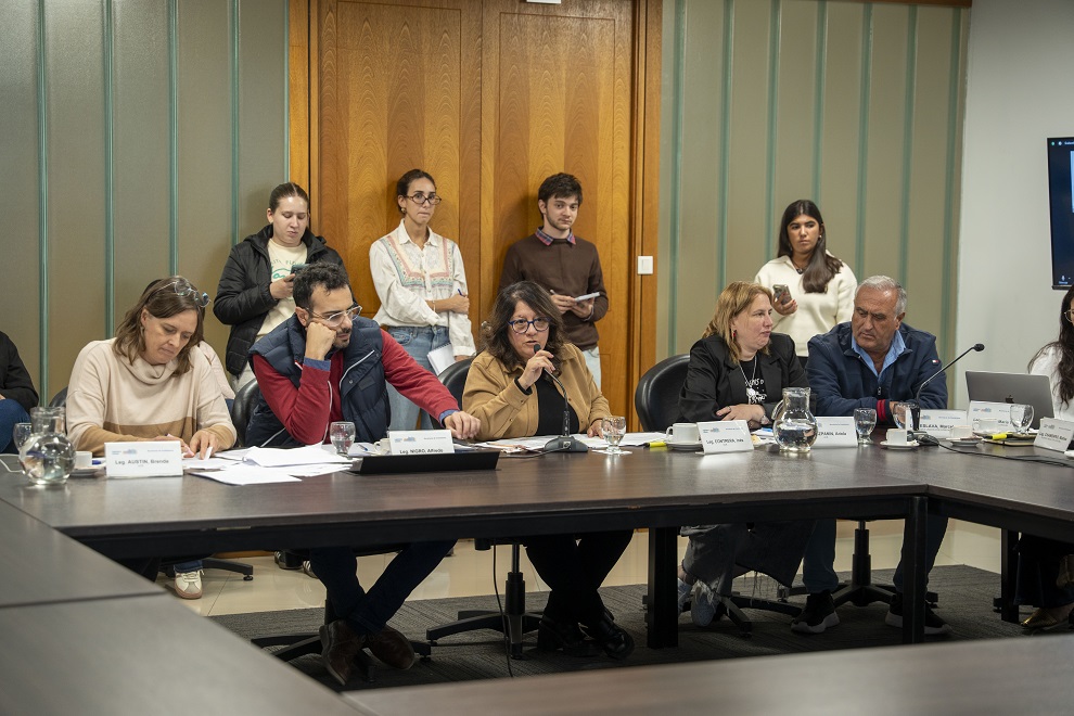 Comisi%C3%B2n de Seguridad 60 1