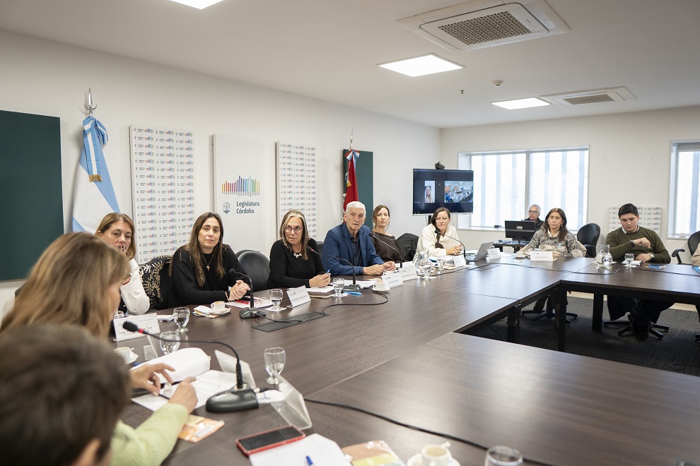 Comision Discapacidad (39)