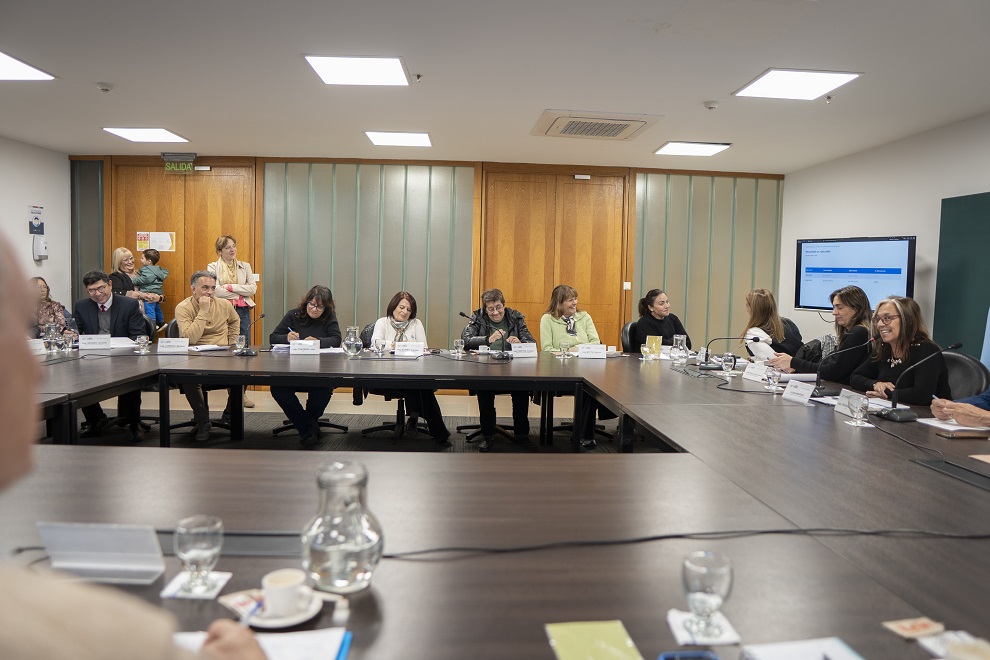 Comision Discapacidad (40)