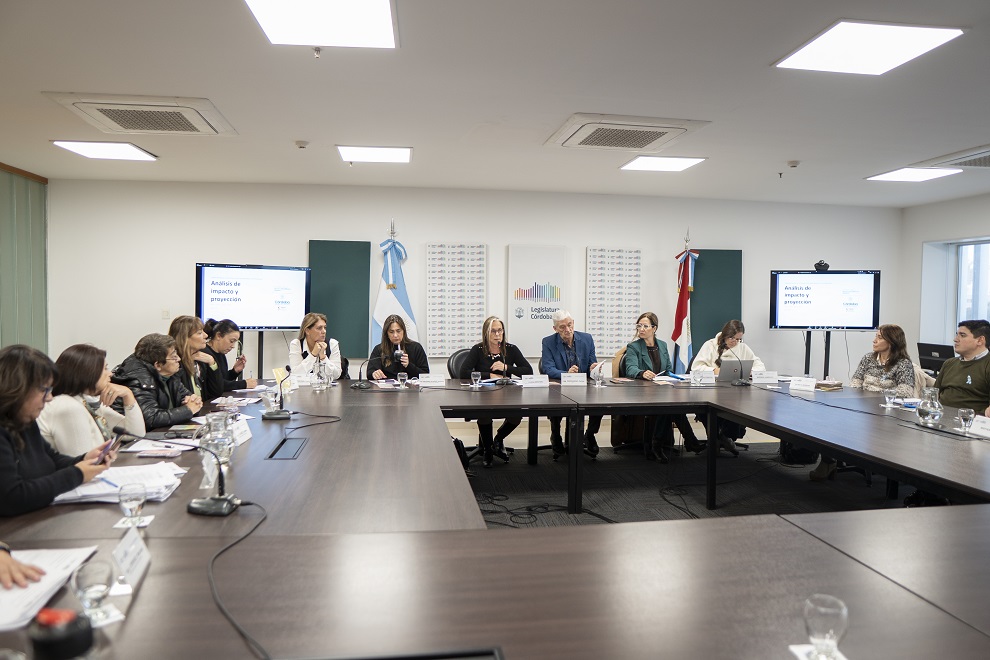 Comision Discapacidad (52)