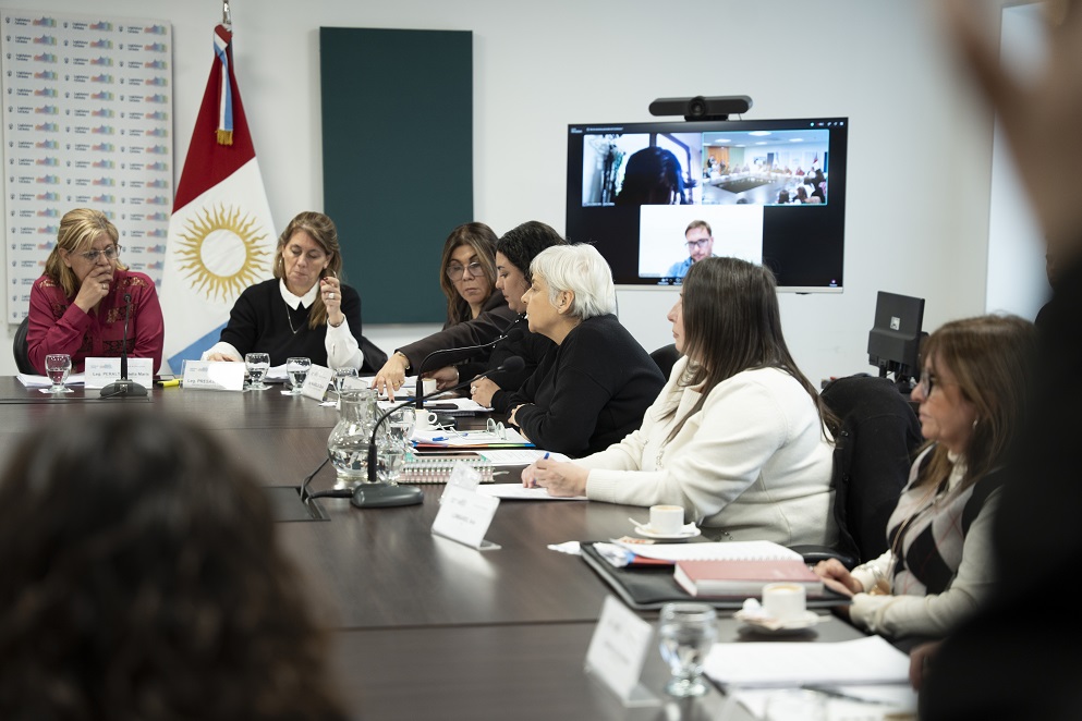 Comisiones de Seguridad y de Promoción y Defensa de los Derechos de la Niñez, adolescencia y familia_36