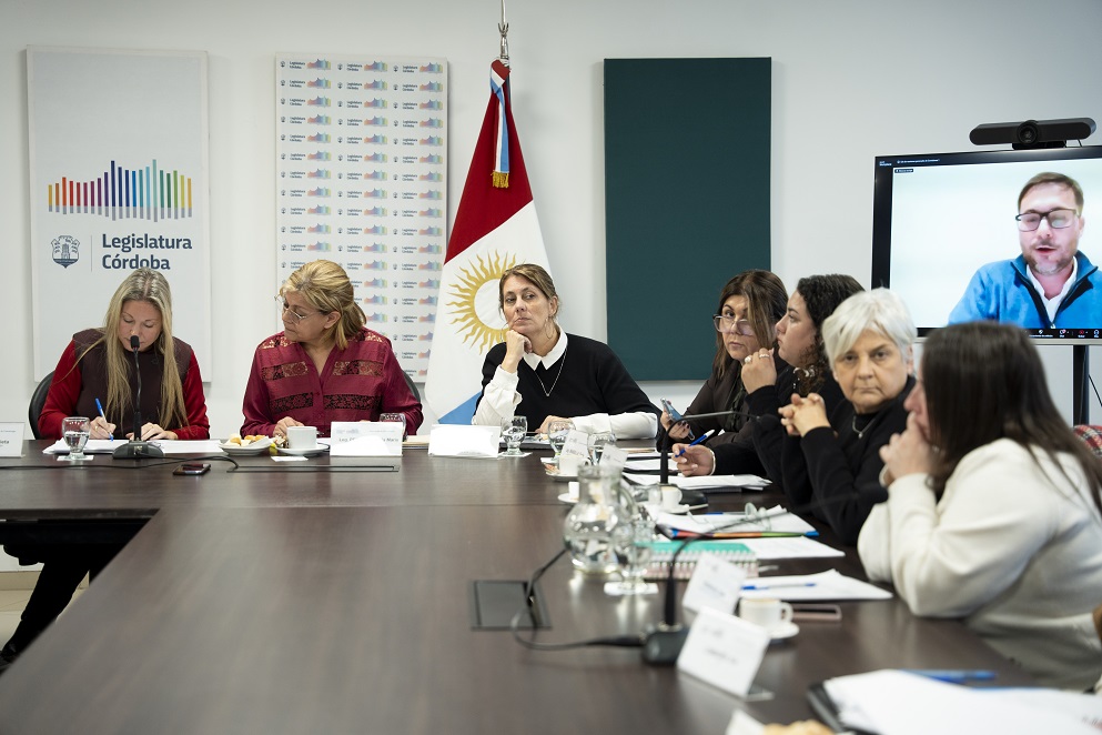 Comisiones de Seguridad y de Promoción y Defensa de los Derechos de la Niñez, adolescencia y familia_85